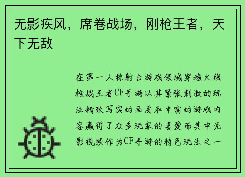 无影疾风，席卷战场，刚枪王者，天下无敌