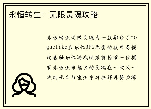 永恒转生：无限灵魂攻略