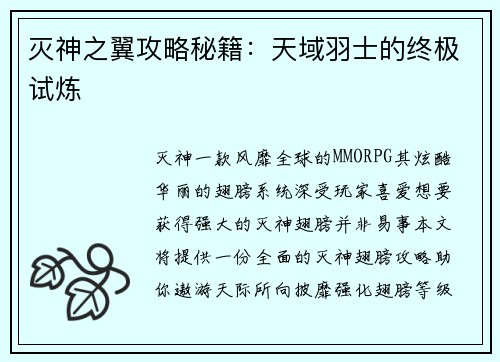 灭神之翼攻略秘籍：天域羽士的终极试炼